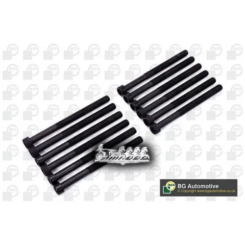 Комплект Болтов Гбц Vw Multivan/Touareg/T5 -09 Bga 