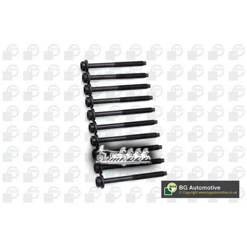 Комплект Болтов Гбц Vag A3/Golf/Passat/Sharan 05- Bga 