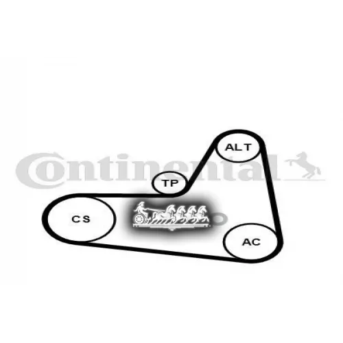 Комплект Поликлинового Ремня Vag A3/Caddy/Golf/Passat 1.6-2.0 Fsi 03- Continental 
