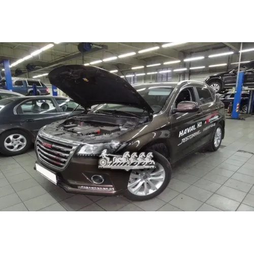 Амортизаторы Капота Для Haval H2 2014-2 Шт. Autofamily 