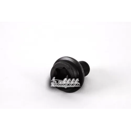 Винт Крепления Преобразователя Акпп Vag+Skoda /M10x1x17mm VAG 