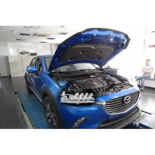 Амортизаторы Капота Для Mazda Cx3 2016-2 Шт. Autofamily 