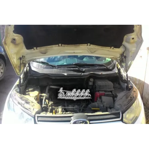 Амортизаторы Капота Для Ford Ecosport 2014-2 Шт. Autofamily 