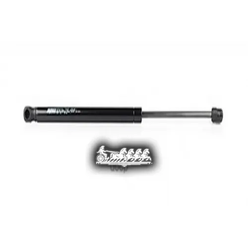 Амортизатор Багажника Psa 307 02- BSG AUTO PARTS 