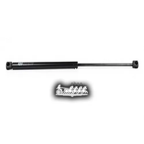 Амортизатор Багажника Mb W163 98- BSG AUTO PARTS 