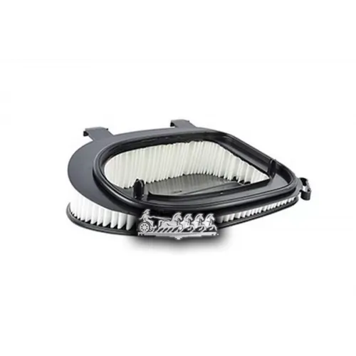 Фильтр Воздушный Bmw X3 F25/X5 E70 Lc/X5 F15/X6 E71 Dx 09- BSG AUTO PARTS 