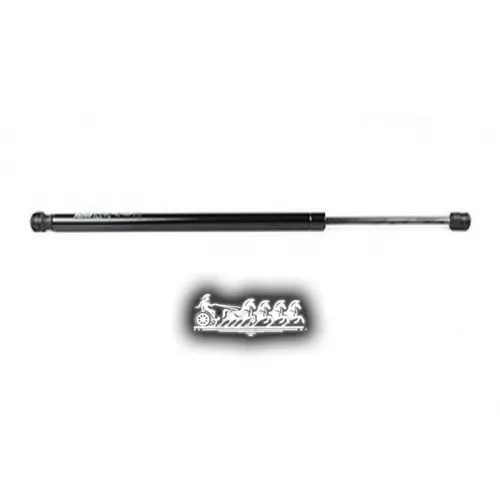 Амортизатор Багажника Ford Fiesta 02- BSG AUTO PARTS 