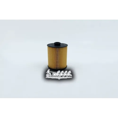 Фильтр Масляный Vag Cayenne/Touareg 3.6 BIG FILTER 