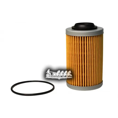 Фильтр Масляный Gm Vectra/Insignia 02- CWORKS 