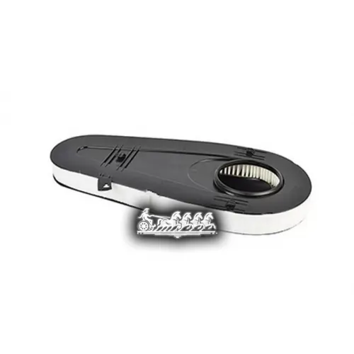 Фильтр Воздушный Bmw F07/F10/F11/F01/F02 10- BSG AUTO PARTS 