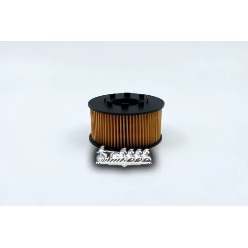 Фильтр Масляный Ford/Jaguar Mondeo/Transit/X-Type 00- 2.0D BIG FILTER 