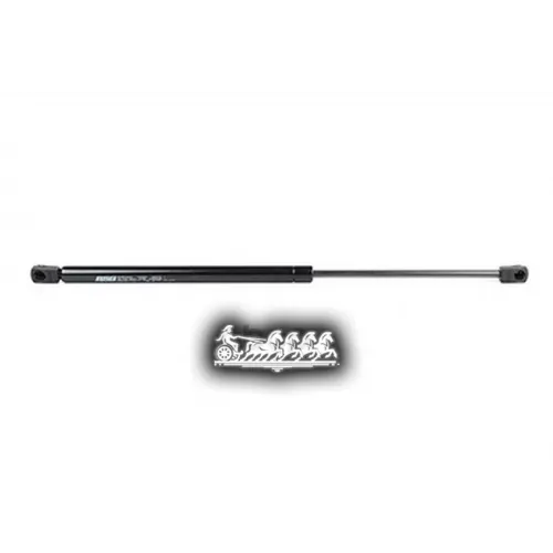 Амортизатор Багажника Gm Astra F 92- BSG AUTO PARTS 