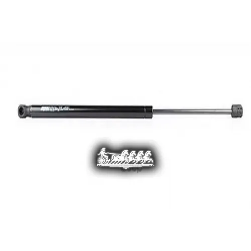 Амортизатор Багажника Ford Fusion 03- BSG AUTO PARTS 