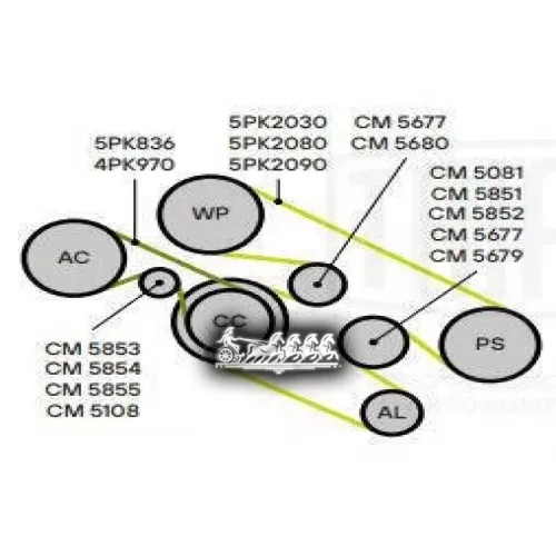 Натяжитель Ремня Приводного Bmw X5 E53 (99-) 3.0D Trialli CM 5679