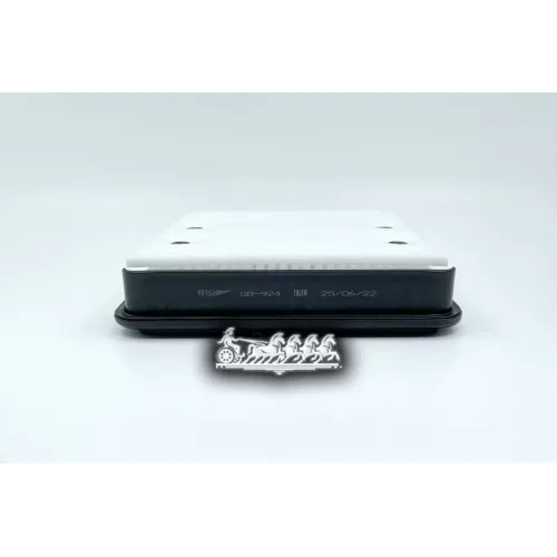 Фильтр Воздушный Mitsubishi L200 06- BIG FILTER 