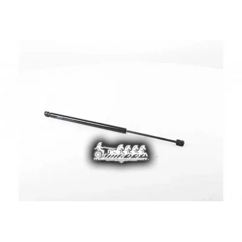Амортизатор Багажника Renault Megane Scenic 95 95- BSG AUTO PARTS 