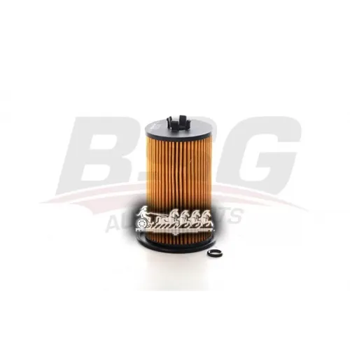 Фильтр Масляный Gm Astra J Astra K Insignia A Insignia B Mokka Mokka X Meriva B Zafira C 15- BSG AUTO PARTS 