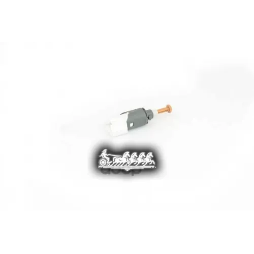 Датчик Renault Megane Ii/Kango 03- BSG AUTO PARTS 