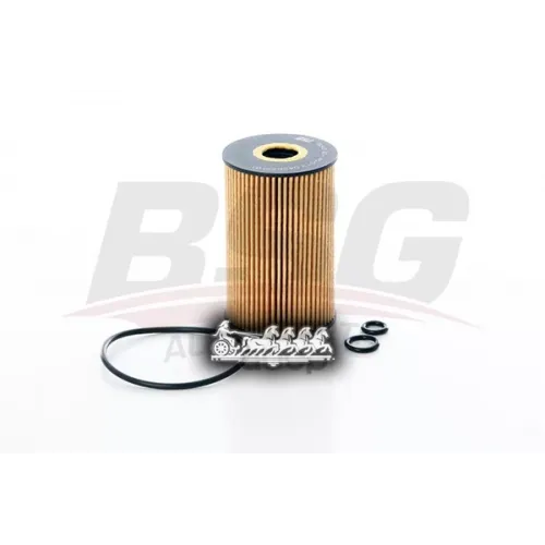 Фильтр Масляный Vag Golf5/Passat/Caddy/Jetta/T5/T6/A3/Leon/Crafter 10- BSG AUTO PARTS 